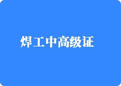 日本骚BB插视频焊工中高级证